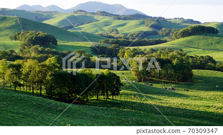 北海道門徒日落山牧場遙遠的景色 70309347