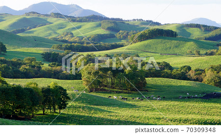 北海道門徒日落山牧場遙遠的景色 70309348
