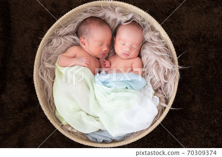 Twin Newborn Photo in the basket 4 70309374