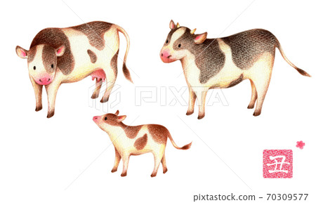 A set of a cow's family and a stamp of the year of the ox, hand-painted colored pencil drawings A set of a cow's family and a stamp of the year of the ox, hand-painted colored pencil drawings 70309577