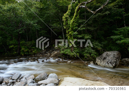 秋田縣的壩湖下沉的山stream 秋田縣的壩湖下沉的山stream 70310361