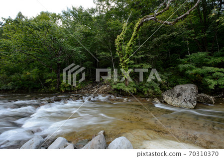 秋田縣的壩湖下沉的山stream 秋田縣的壩湖下沉的山stream 70310370