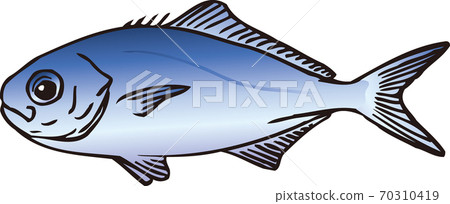 Ocycrius刺參 70310419