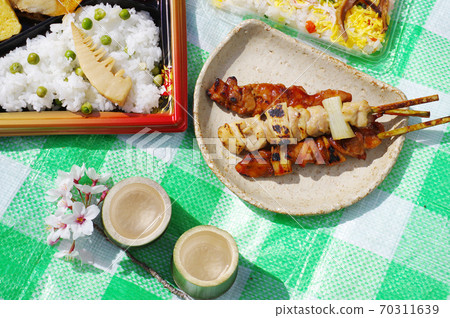 Hanami and cold sake 70311639