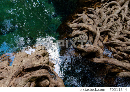 National Park in Krabi Province, Thailand with mangrove forests National Park in Krabi Province, Thailand with mangrove forests 70311844