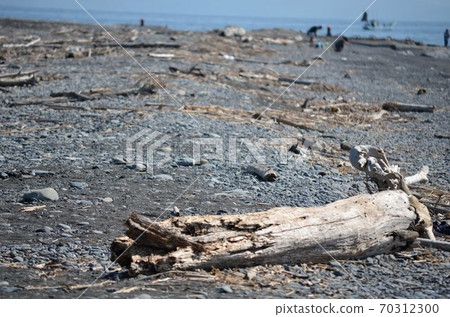Matsubara coast of Miho Matsubara coast of Miho 70312300