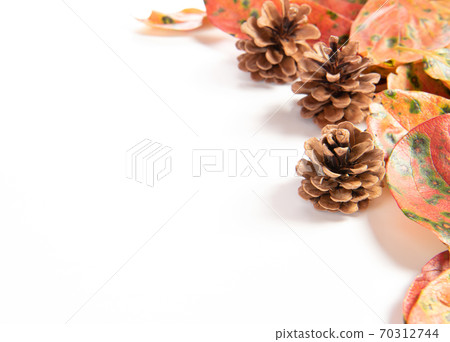 Autumn background with pine cone, autumn leaves on white background 70312744