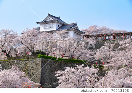 櫻花景津山城 70313108