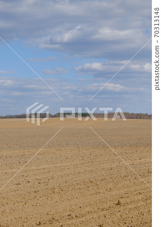A plowed agricultural field. Blue sky over a farm field. 70313148