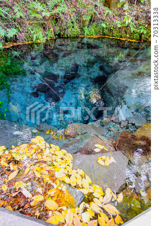 Oike springs in the Kurodake virgin forest at the eastern foot of the Kuju mountain range during the autumn leaves season 70313338