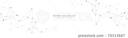 Website header or banner design with abstract geometric background and connecting dots and lines. Global network connection. Digital technology with plexus background and space for your text. Website header or banner design with abstract geometric background and connecting dots and lines. Global network connection. Digital technology with plexus background and space for your text. 70313687