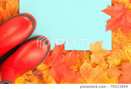 Autumn leaves frame with rubber boots and umbrella Autumn leaves frame with rubber boots and umbrella 70313844