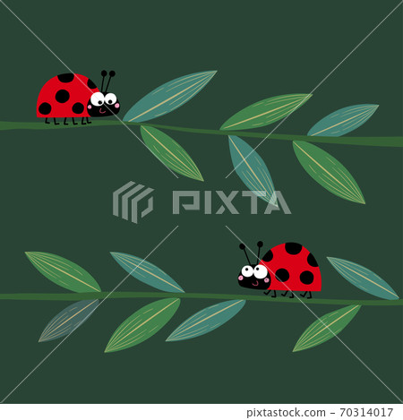 Vector illustration of two cute ladybirds or ladybugs walking on the grass stems. 70314017