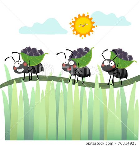 Vector illustration of a cartoon colony of black ants carrying berries and walking across the branch. 70314923