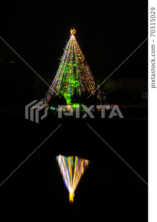 Miyagase Christmas Illuminations 70315029