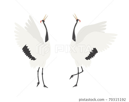 Crane Japanese crane courtship dance 70315192
