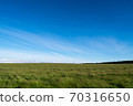Hill landscape Earth and the Big Bonsai 70316650