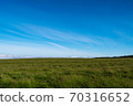 Hill landscape Earth and the Big Bonsai 70316652