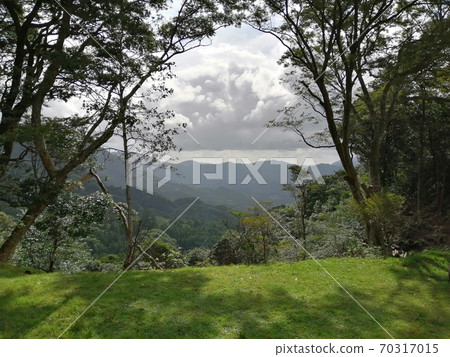 山景 山景 70317015
