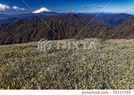 從田澤/主靜脈垂直跑道看的富士山 從田澤/主靜脈垂直跑道看的富士山 70317705