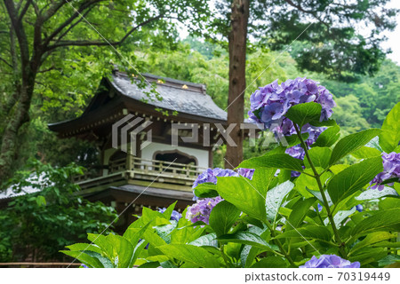 The bell tower gate and hydrangea of Jochiji Temple in Kita-Kamakura 70319449