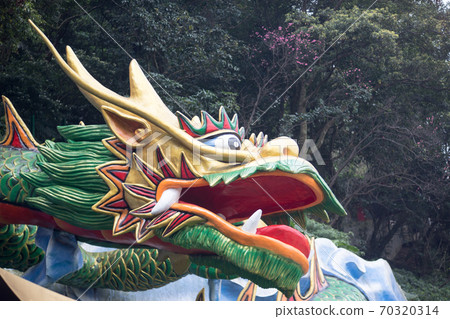 Dragon Dragon 70320314