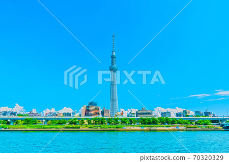 [動漫風格]東京都市風景中的夏季，入雲和天樹 70320329