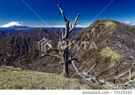 從Tanzawa主靜脈垂直跑道看到的富士山和Hiruga山 從Tanzawa主靜脈垂直跑道看到的富士山和Hiruga山 70320330