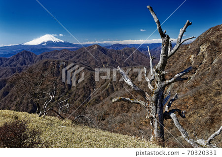 從Tanzawa主靜脈垂直跑道看到的富士山 70320331