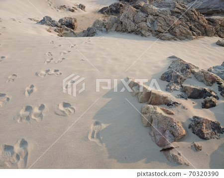 Beachfront footprints, sea, rocks Beachfront footprints, sea, rocks 70320390