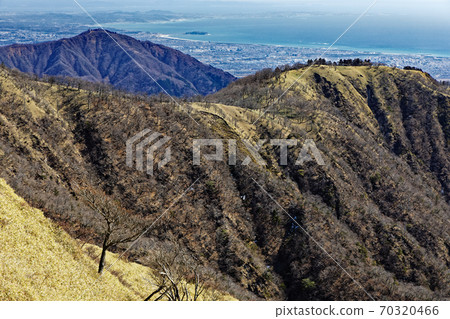 View of Oyama and Shonan from the vicinity of Tanzawa and Fudonomine View of Oyama and Shonan from the vicinity of Tanzawa and Fudonomine 70320466