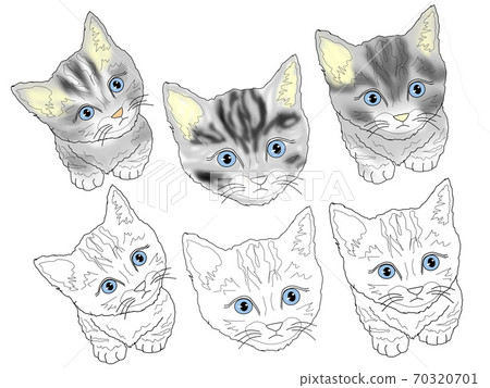 可愛動物系列：貓，治愈系，多套 70320701