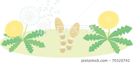 蒲公英和Tsukushi 70320742