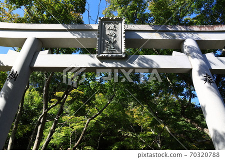 Taken at Kashima Shrine, Hyogo Prefecture Taken at Kashima Shrine, Hyogo Prefecture 70320788