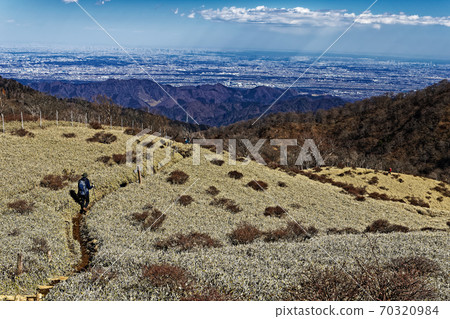 冬季在Tanzawa和Fudonomine附近的草原上的登山者和東京市中心的景色 70320984
