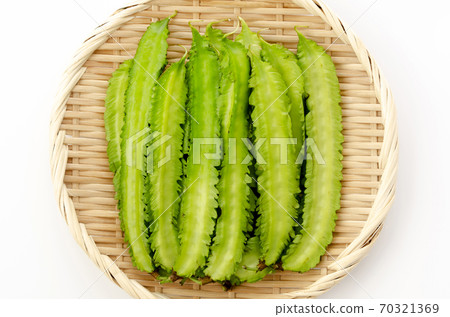Shikakamame (Urips bean) Shikakamame (Urips bean) 70321369