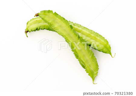 Shikakamame (Urips bean) Shikakamame (Urips bean) 70321380