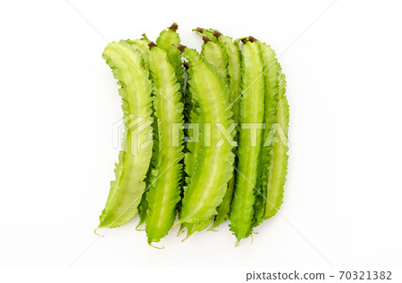 Shikakamame (Urips bean) Shikakamame (Urips bean) 70321382