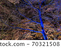 國家武藏山森林公園 70321508