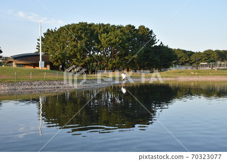 黃昏時分的南部池塘秋津堂海欣公園 黃昏時分的南部池塘秋津堂海欣公園 70323077