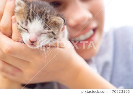 small newborn kitten in hands of a small girl. small newborn kitten in hands of a small girl. 70323105