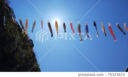 吉野川的鯉魚旗 吉野川的鯉魚旗 70323614