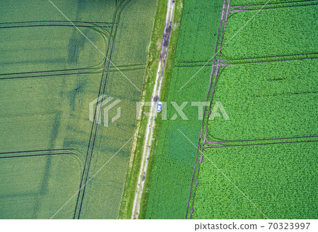 Aerial view of a path between two arable land with a car 70323997