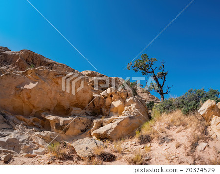 Sunny view of the Calico Tanks Trail of Red Rock Canyon National Conservation Area 70324529
