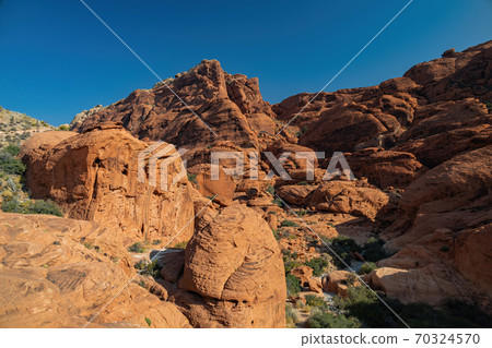 Sunny view of the Calico Hills of Red Rock Canyon National Conservation Area Sunny view of the Calico Hills of Red Rock Canyon National Conservation Area 70324570