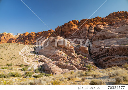 Sunny view of the Calico Hills of Red Rock Canyon National Conservation Area Sunny view of the Calico Hills of Red Rock Canyon National Conservation Area 70324577