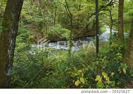 河在森林裡 河在森林裡 70325627