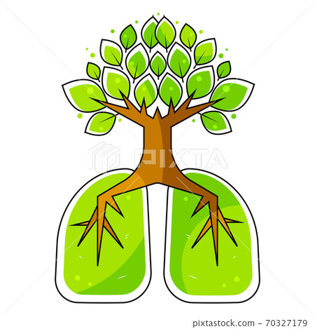Human lungs. Respiratory system. Healthy lungs. Light in the form of a tree. Line art. Drawing by hand. Human lungs. Respiratory system. Healthy lungs. Light in the form of a tree. Line art. Drawing by hand. 70327179