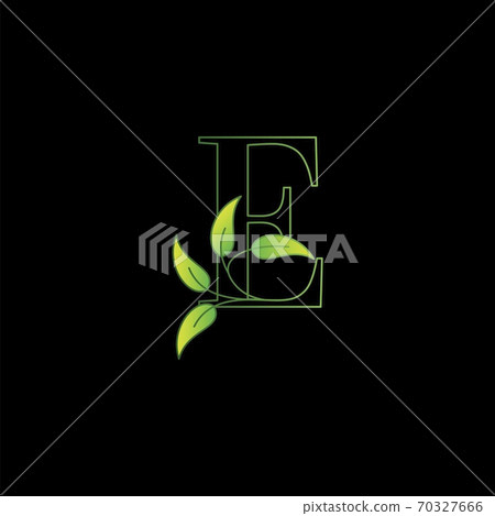 Green Nature Leaf Letter E Initial Logo Icon Concept Monogram leaves with Letter Design Green Nature Leaf Letter E Initial Logo Icon Concept Monogram leaves with Letter Design 70327666