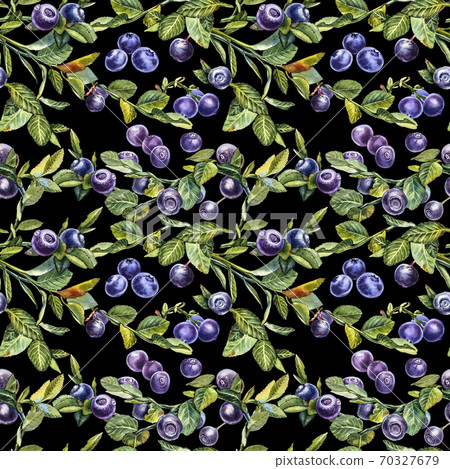 Blueberry. Seamless patterns. Watercolor botanical illustration. Hand drawn watercolor painting blueberry on white background. Blueberry. Seamless patterns. Watercolor botanical illustration. Hand drawn watercolor painting blueberry on white background. 70327679